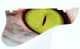 Cat Eye