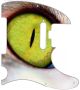 Cat Eye - American Elite Tele