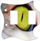 Cat Eye