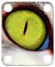 Cat Eye