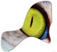 Cat Eye