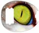 Cat Eye