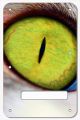 Cat Eye