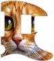 Cat Eyes 1 - 8 Hole H Tele