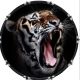 Cat Tiger 1