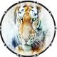Cat Tiger Abstract