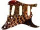 Cat Leopard Night