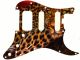 Cat Leopard Night