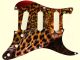 Cat Leopard Night