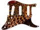 Cat Leopard Night