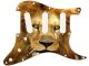 Cat Lion 2