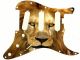 Cat Lion 2