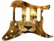 Cat Lion 2