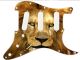 Cat Lion 2