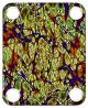 Cells Abstract 4