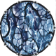 Cells 5