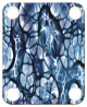 Cells Abstract 5