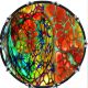 Cells Heart