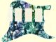 Cells 6