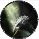 Chameleon 1