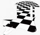 Checker