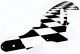 Checker 1