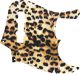 Cheetah Print