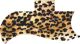 Cheetah Print