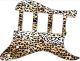 Cheetah Print
