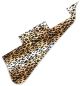 Cheetah Print