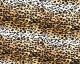 Cheetah Print