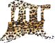 Cheetah Print
