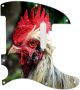 Chicken Look - American Elite Tele
