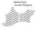 Clear - Dove&reg; Pickguard 