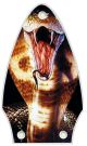 Cobra