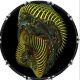 Coils 1