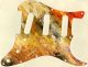 Color Splash 2 - Vintera '70s Strat