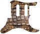 Crocodile Skin