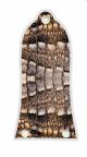 Crocodile Skin