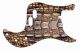 Crocodile Skin