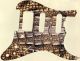 Crocodile Skin - HSS Shawbucker Elite Strat