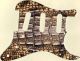 Crocodile Skin