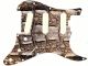 Crocodile Skin