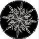 Crystal Ice 1