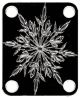 Cystal Ice 1