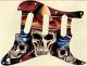 Day of the Dead 2 - SSS '62 ReIssue Strat