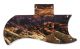 Desert Rock