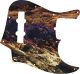 Desert Rock