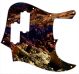 Desert Rock