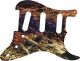 Desert Rock - Vintera '50s Strat